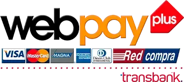 Logo de web pay plus